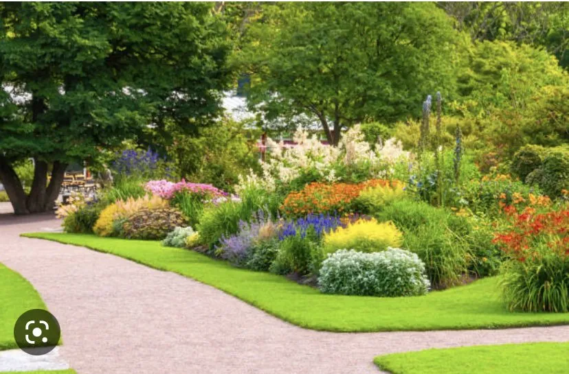 Top-rated landscape design in Florence, OR by Luxury Lawns