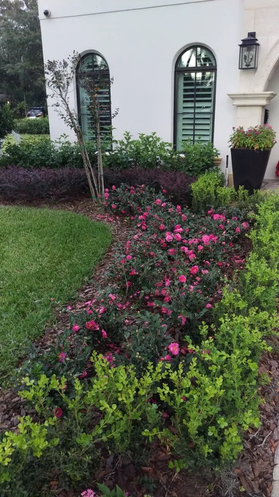 Trusted lawn care service in Windermere, FL - Luxury Living Solutions