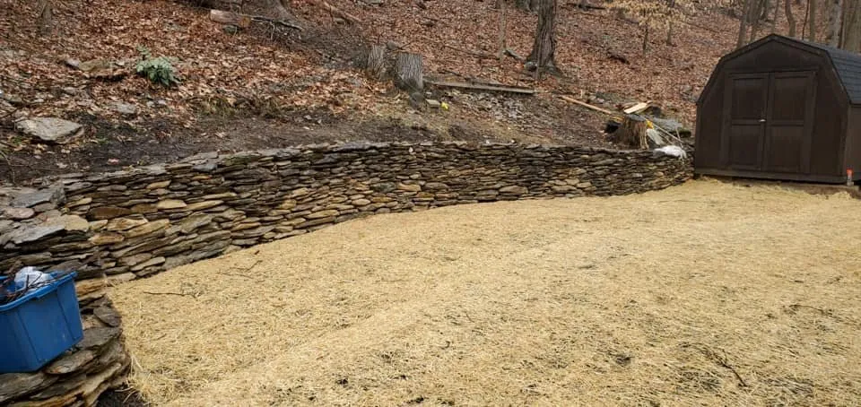 Reliable yard cleanup service in East Norriton, PA - Luxury Outdoor