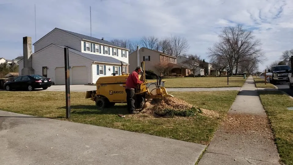 Custom landscape design in East Norriton, PA - Luxury Outdoor