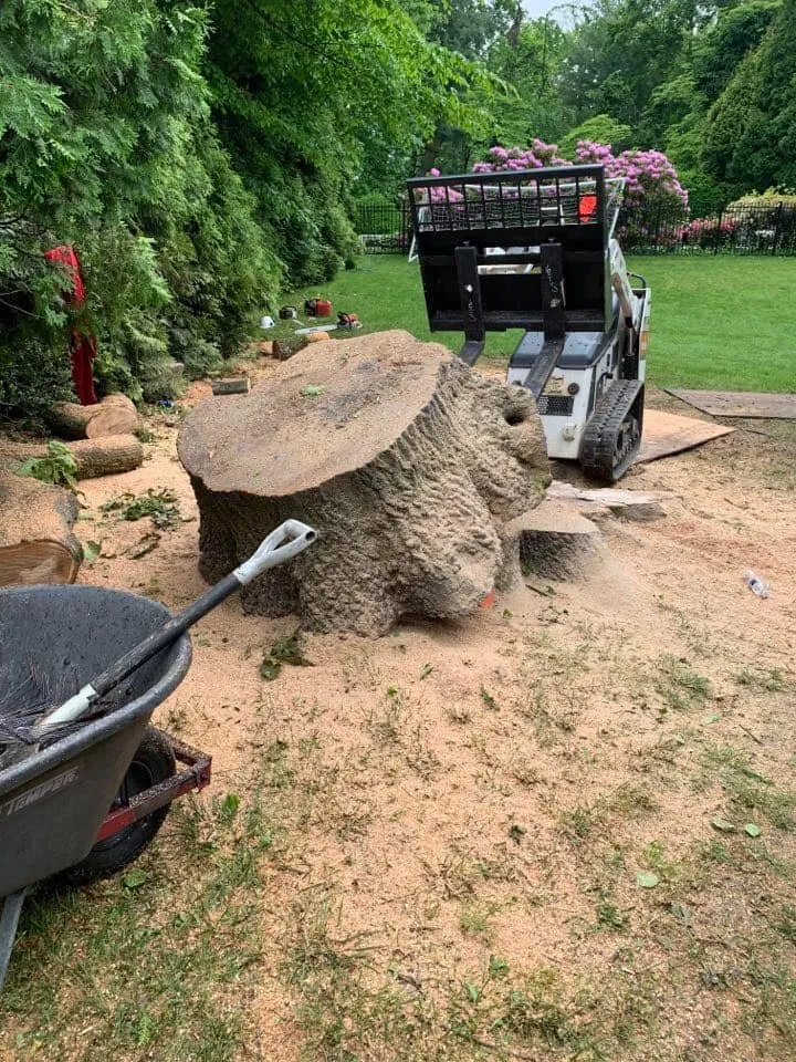 Affordable garden landscaping experts serving East Norriton, PA - Luxury Outdoor