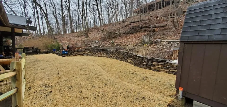 Top-rated lawn mowing service experts serving East Norriton, PA - Luxury Outdoor