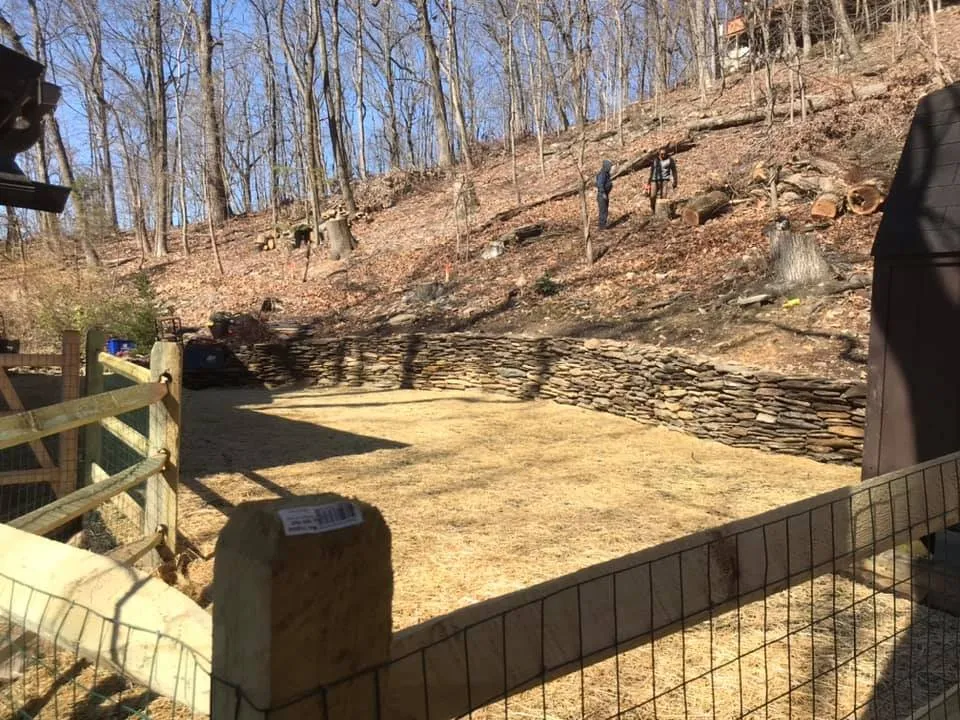 Expert outdoor landscaping experts serving East Norriton, PA - Luxury Outdoor