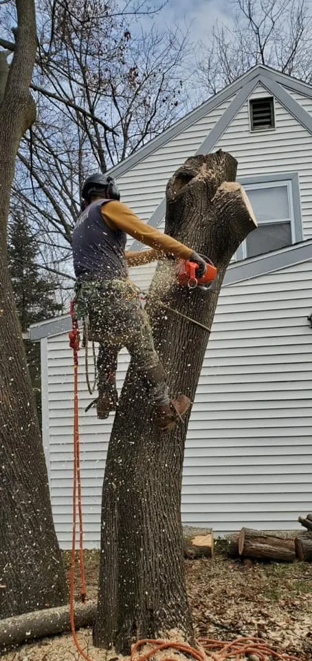 Expert residential landscaping in East Norriton, PA - Luxury Outdoor