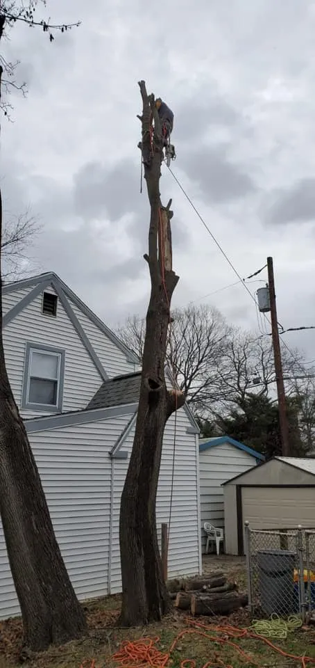 Affordable yard cleanup service experts serving East Norriton, PA - Luxury Outdoor