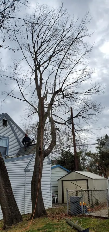 Reliable lawn care service with custom design in East Norriton, PA by Luxury Outdoor