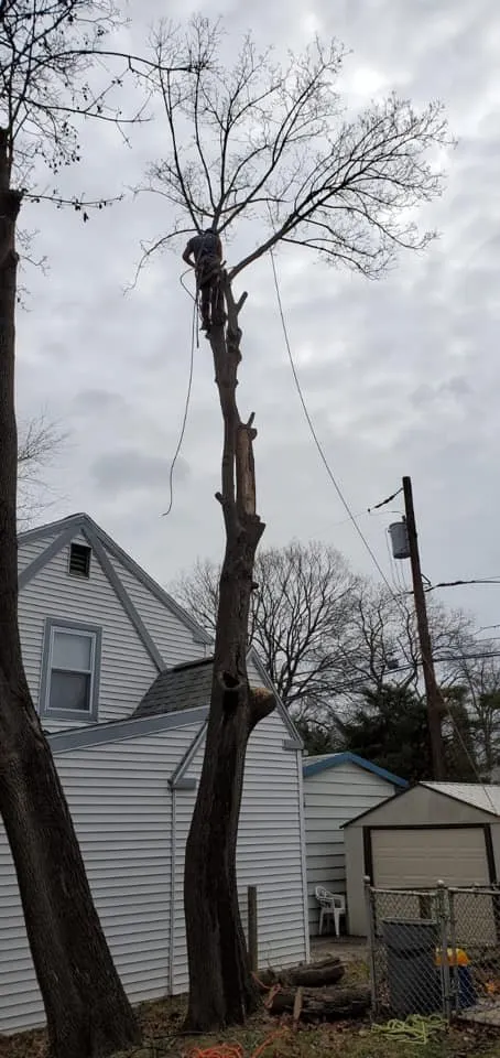 Custom garden landscaping for beautiful yards in East Norriton, PA by Luxury Outdoor