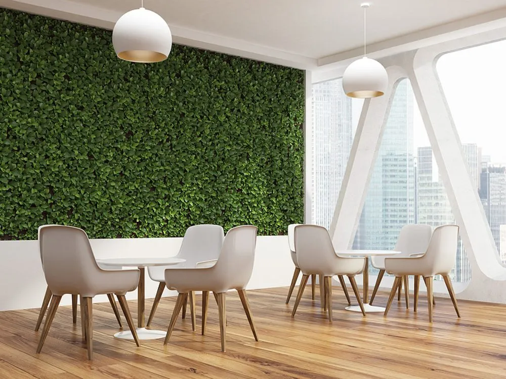 Expert landscape design for outdoor upgrades in San Antonio, TX by Luxury Outdoor TX