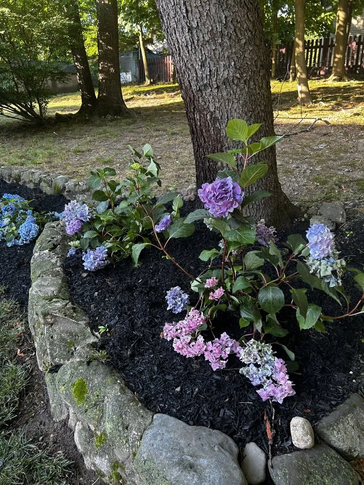 Affordable landscaping services for residential properties in Mahwah, NJ by Luxury Outdoors Landscape Construction