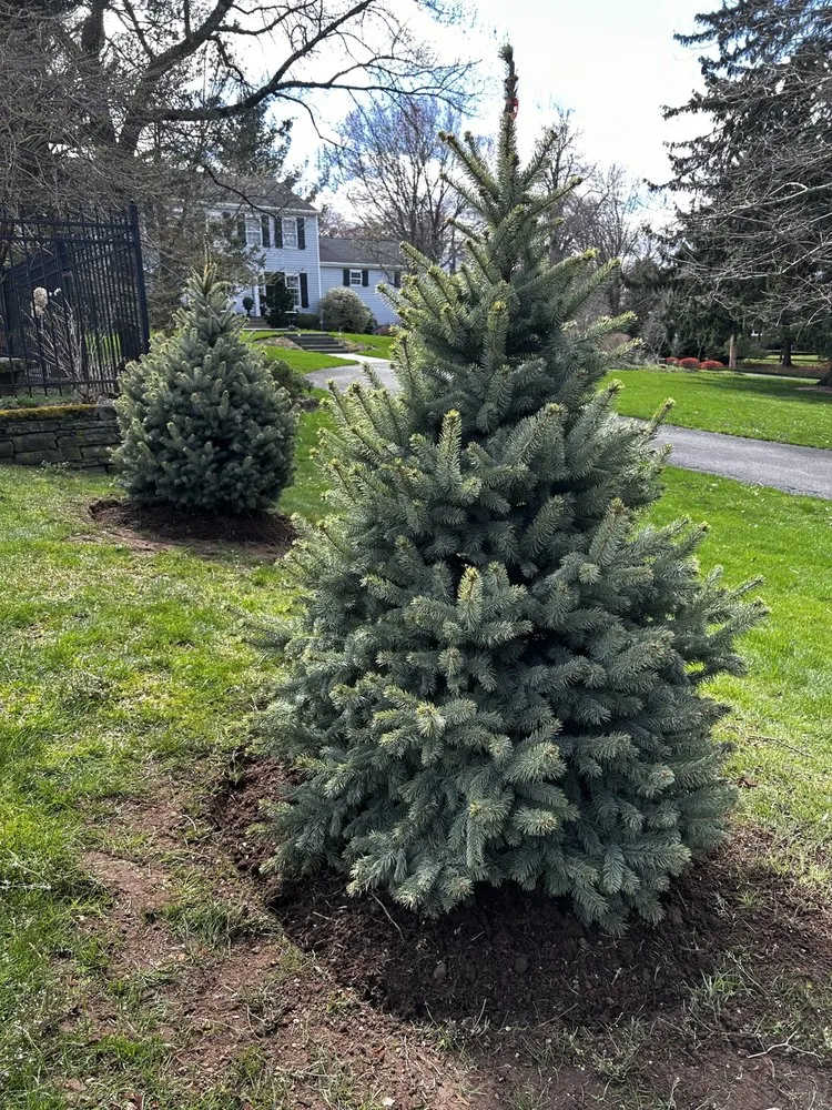 Local lawn mowing service for beautiful yards in Mahwah, NJ by Luxury Outdoors Landscape Construction