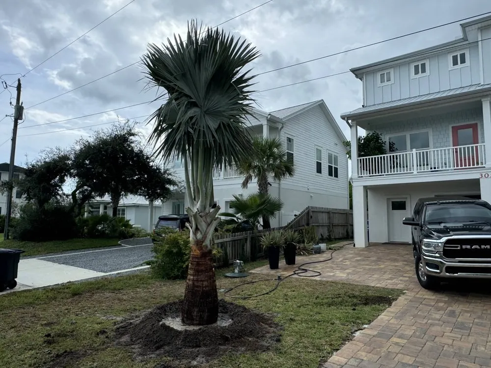 Trusted landscape installation in Jacksonville, FL by Luxury Palm Landworks