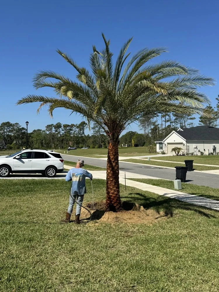 Affordable residential landscaping with custom design across Jacksonville, FL - Luxury Palm Landworks