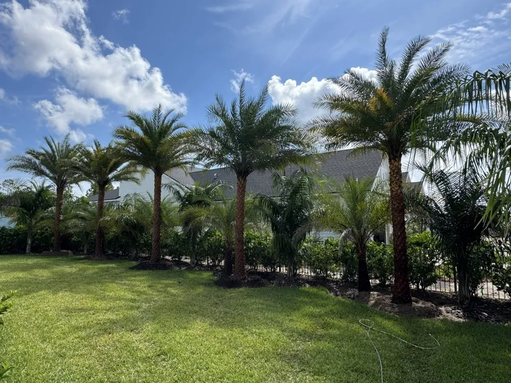 Top-rated yard cleanup service in Jacksonville, FL - Luxury Palm Landworks