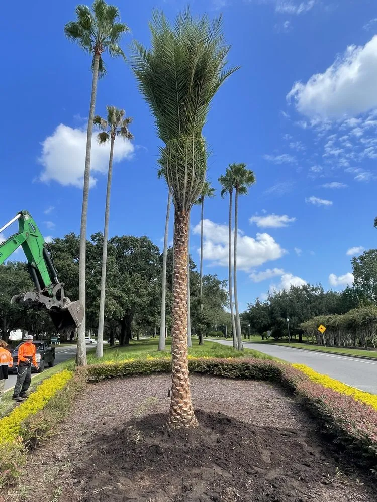 Reliable landscaping services in Jacksonville, FL - Luxury Palm Landworks