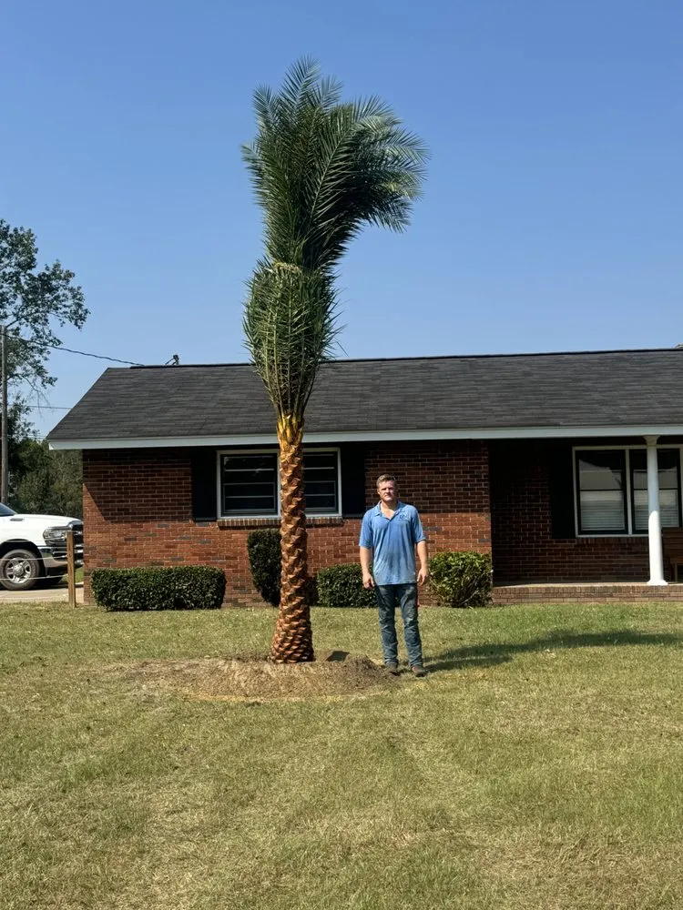 Professional lawn mowing service experts serving Jacksonville, FL - Luxury Palm Landworks