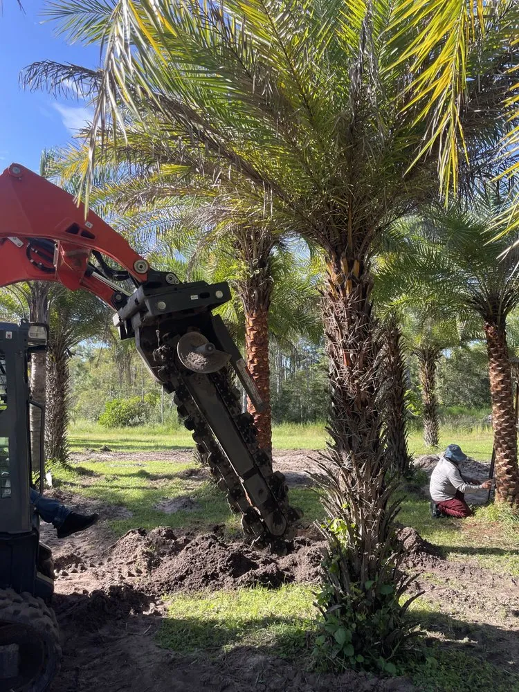 Local landscape installation near you across Jacksonville, FL - Luxury Palm Landworks