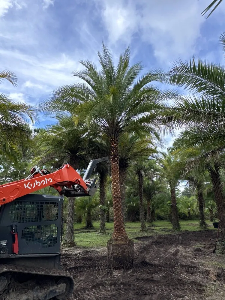 Custom garden landscaping in Jacksonville, FL - Luxury Palm Landworks