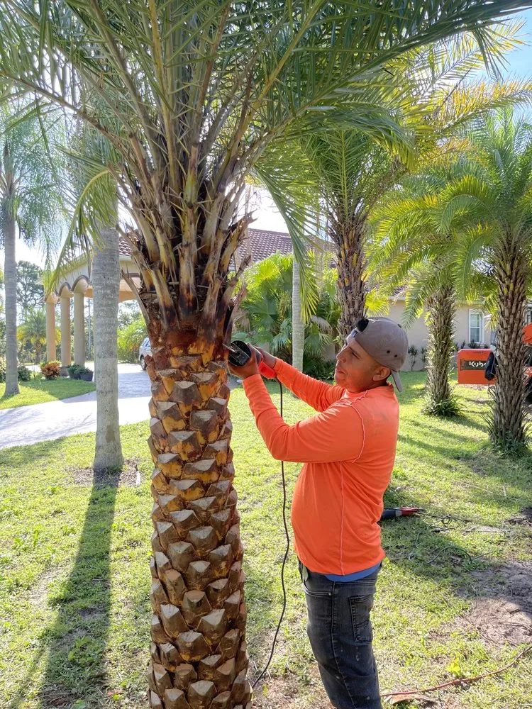 Professional yard maintenance for homes in Jacksonville, FL by Luxury Palm Landworks