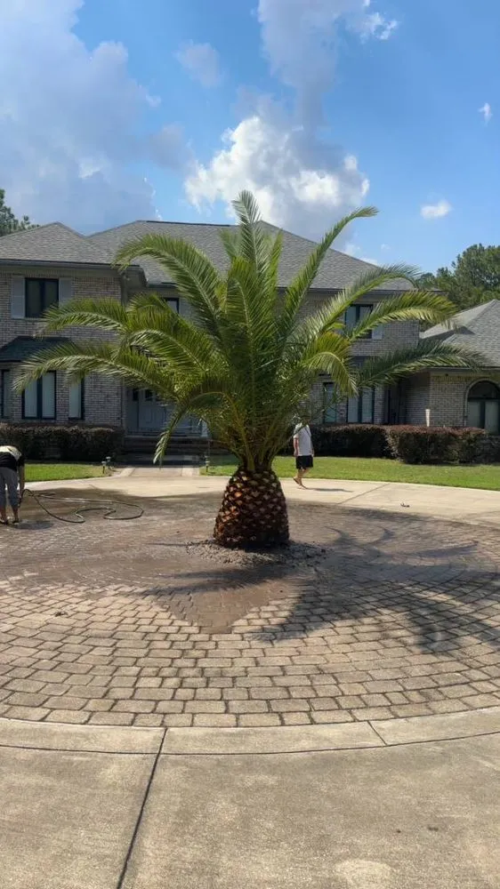 Expert yard cleanup service with custom design across Jacksonville, FL - Luxury Palm Landworks