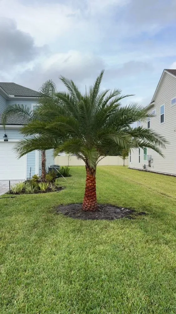 Affordable landscaping services for homes in Jacksonville, FL by Luxury Palm Landworks