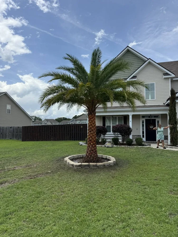Local lawn care service in Jacksonville, FL by Luxury Palm Landworks