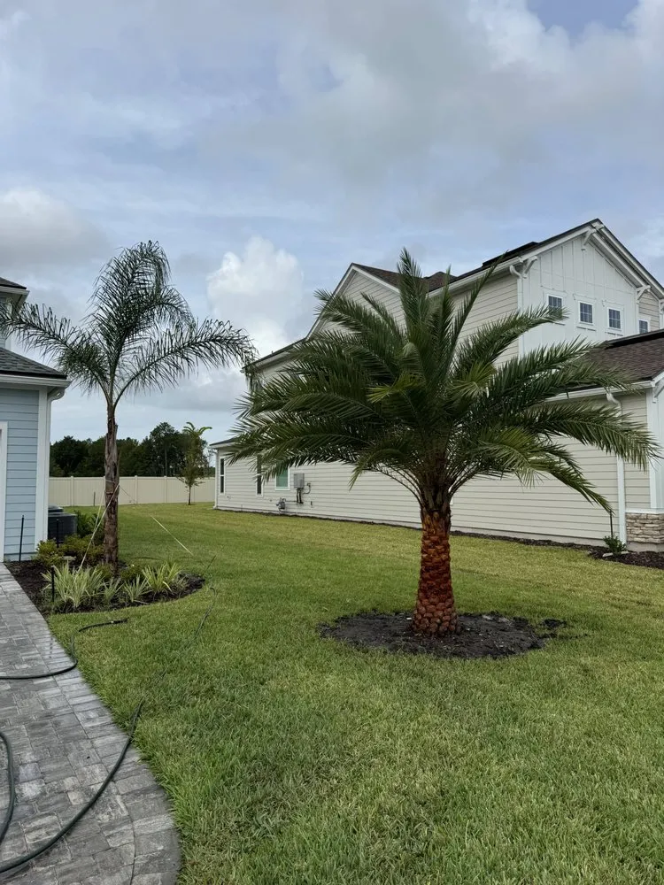 Custom outdoor landscaping for year-round maintenance in Jacksonville, FL by Luxury Palm Landworks