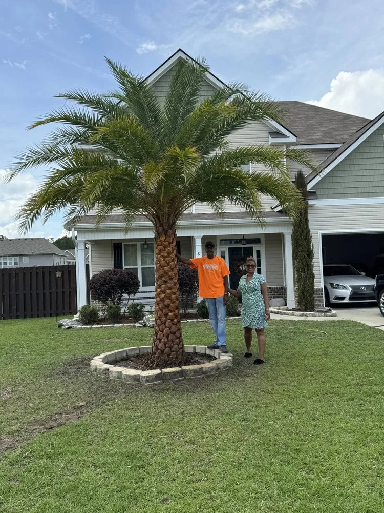 Expert outdoor landscaping in Jacksonville, FL by Luxury Palm Landworks