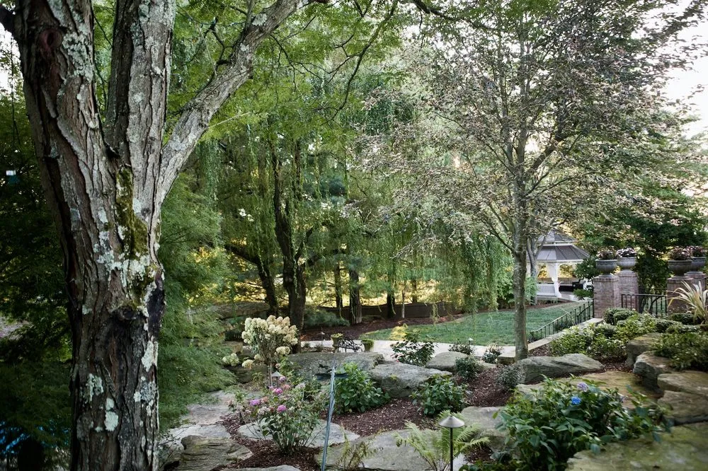 Professional landscape installation experts serving Venetia, PA - Luxury Pools & Waterfalls