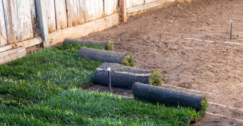 Custom outdoor landscaping in Decatur, GA - Luxury Solutions Lawn care