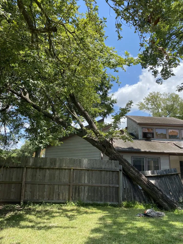Trusted landscape installation for beautiful yards in Houston, TX by Luxury Tree Service And Landscape