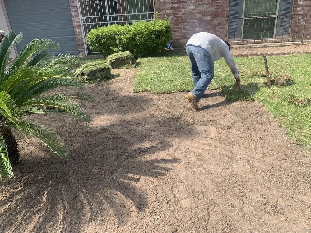 Expert yard maintenance in Houston, TX by Luxury Tree Service And Landscape