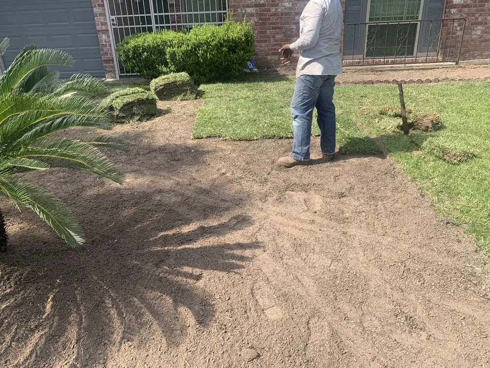 Top-rated yard cleanup service for residential properties in Houston, TX by Luxury Tree Service And Landscape