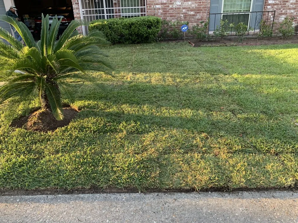 Top-rated garden landscaping experts serving Houston, TX - Luxury Tree Service And Landscape