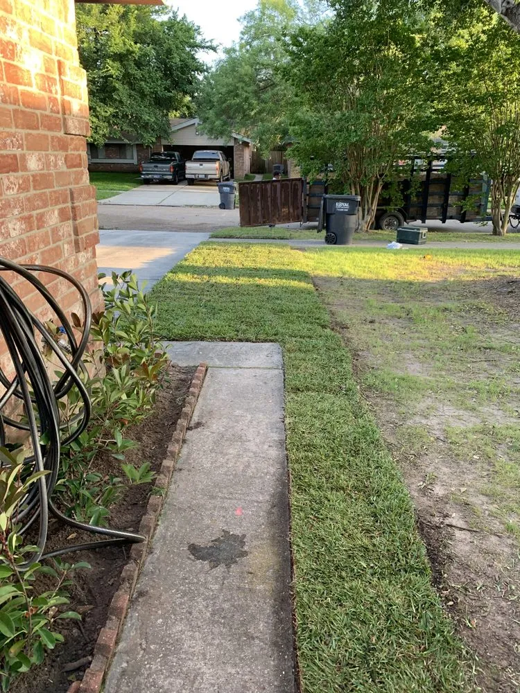 Affordable lawn care service for outdoor upgrades across Houston, TX - Luxury Tree Service And Landscape