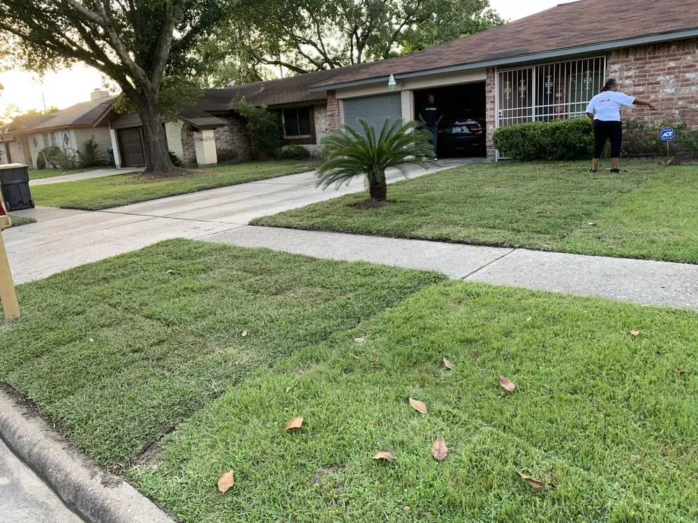 Trusted lawn mowing service in Houston, TX - Luxury Tree Service And Landscape