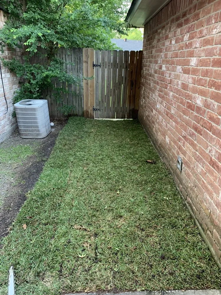 Top-rated yard maintenance in Houston, TX - Luxury Tree Service And Landscape