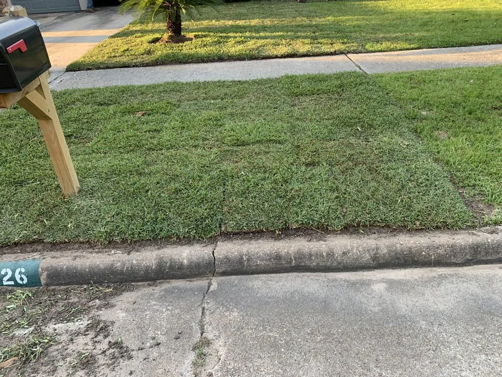 Trusted landscape installation experts serving Houston, TX - Luxury Tree Service And Landscape