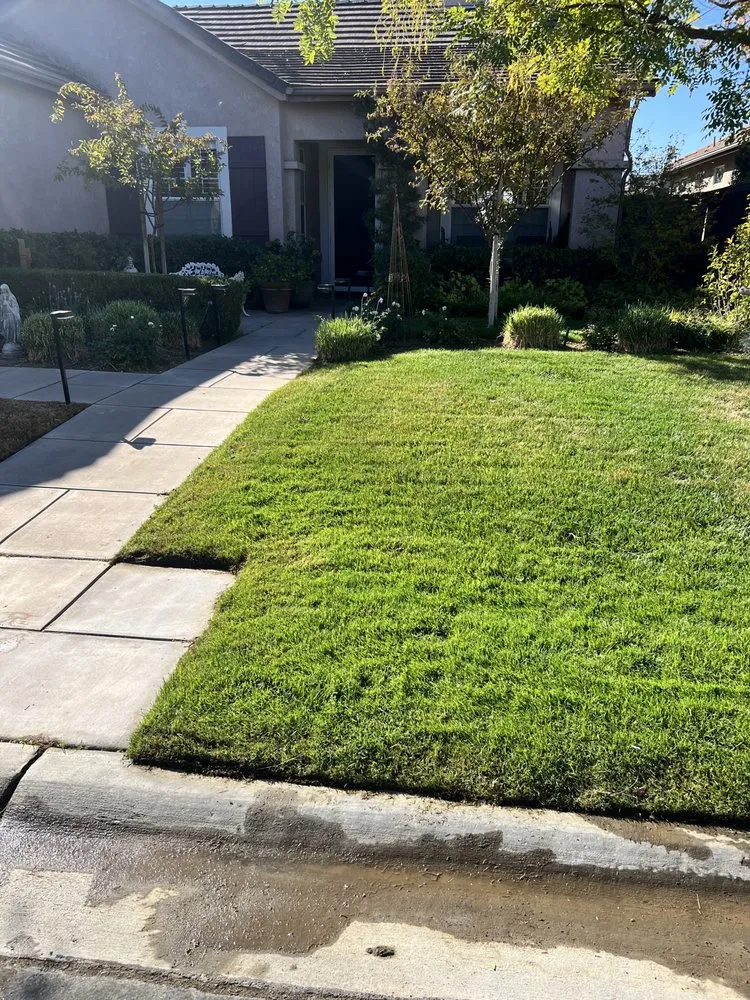Trusted lawn mowing service for beautiful yards across Fresno, CA - Luxury Window Care
