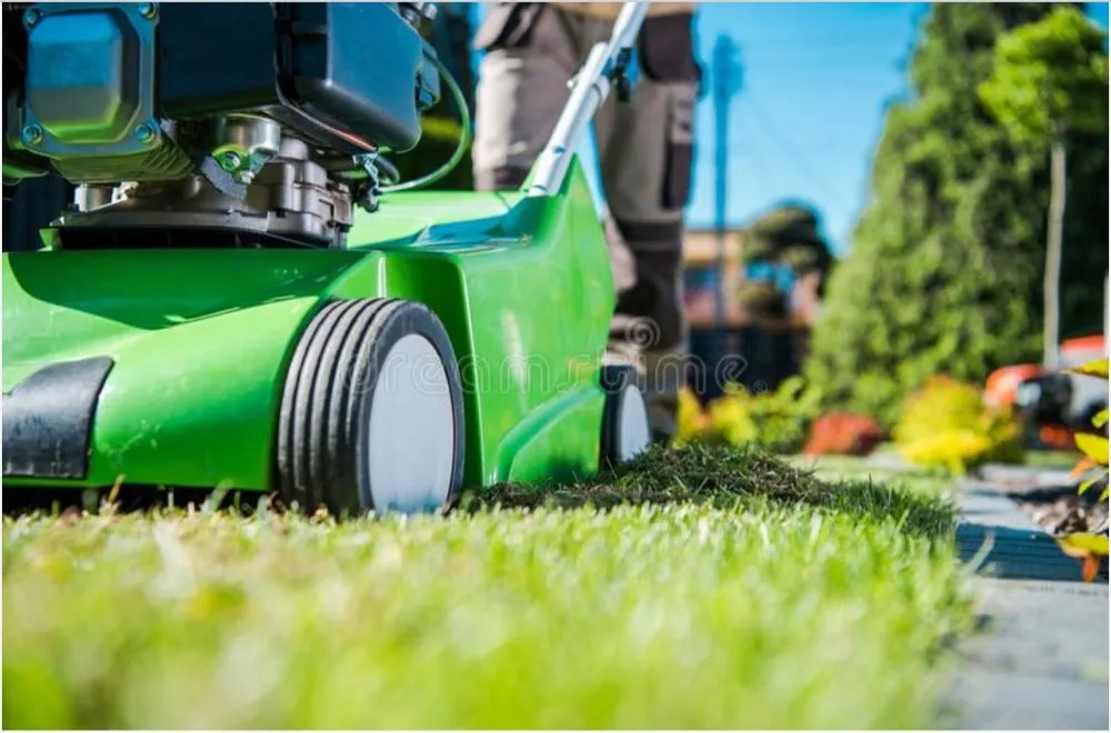 Custom lawn care service in Glennville, GA - LuxuryLifstyle