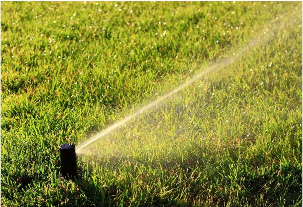 Affordable yard maintenance for year-round maintenance across Glennville, GA - LuxuryLifstyle