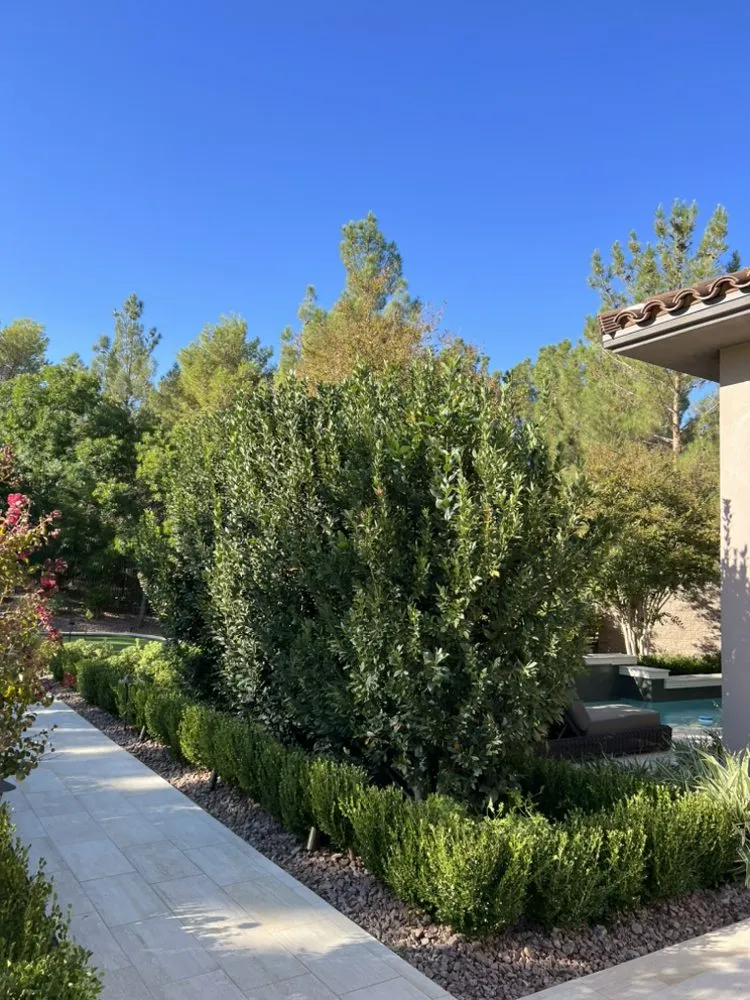 Trusted residential landscaping with custom design across Las Vegas, NV - LV Design Landscaping