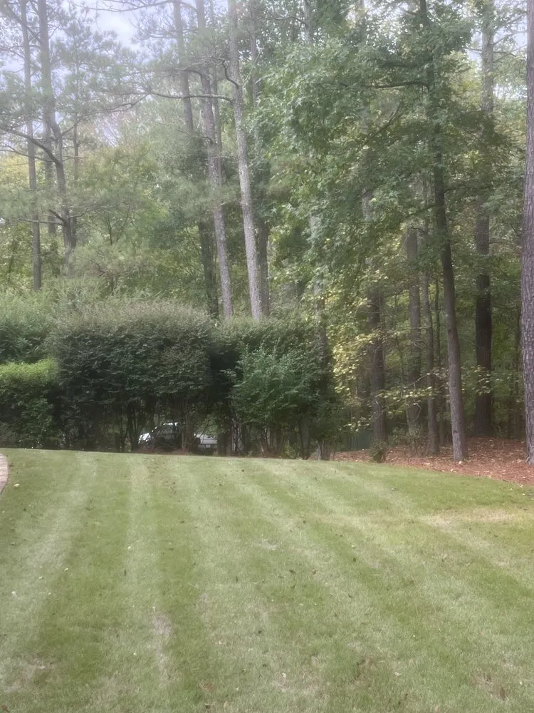 Top-rated landscape installation experts serving Marietta, GA - LV Landscape & Hardscape