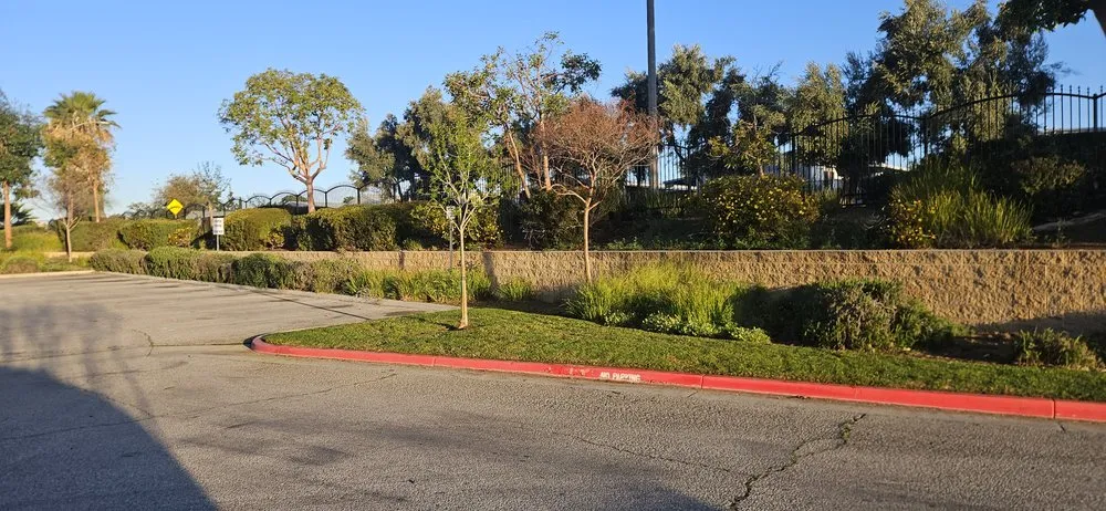 Trusted yard cleanup service in Moreno Valley, CA by LV Landscape