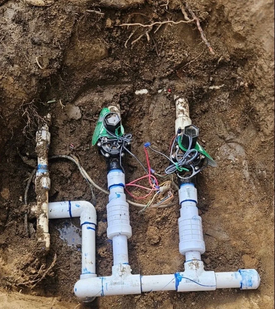 Affordable yard cleanup service experts serving Moreno Valley, CA - LV Landscape