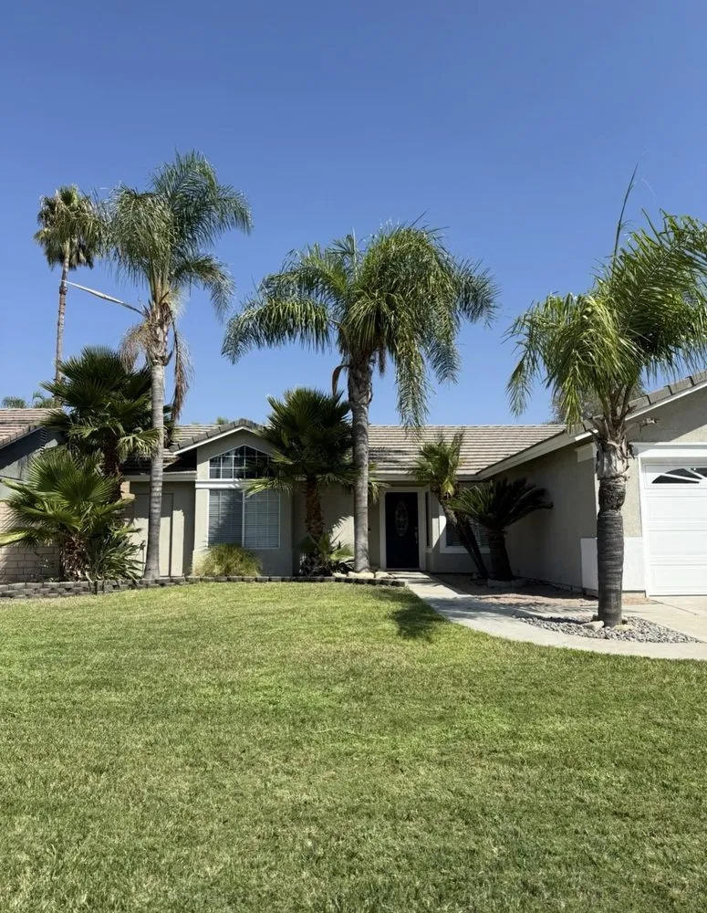 Reliable yard cleanup service in Moreno Valley, CA by LV Landscape