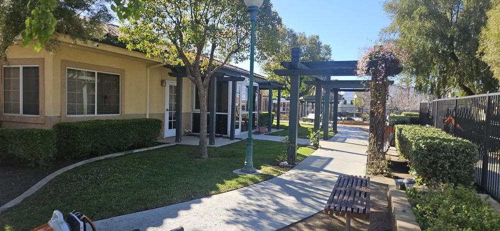 Professional yard maintenance in Moreno Valley, CA - LV Landscape