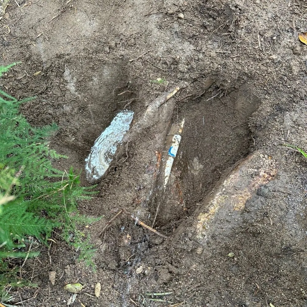 Affordable landscape design in Moreno Valley, CA by LV Landscape