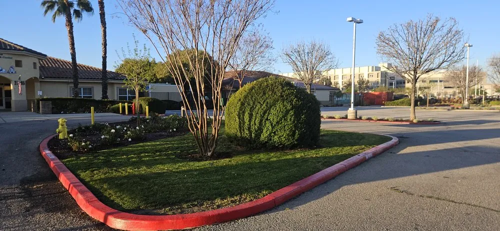 Top-rated landscape installation in Moreno Valley, CA by LV Landscape