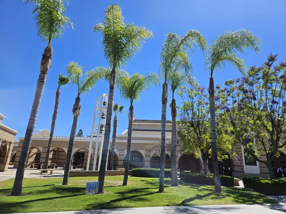 Top-rated yard maintenance in Moreno Valley, CA by LV Landscape