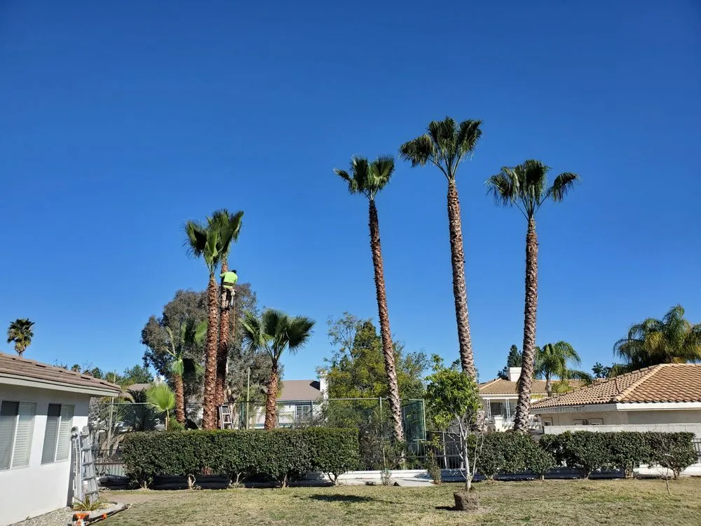 Top-rated garden landscaping in Moreno Valley, CA - LV Landscape